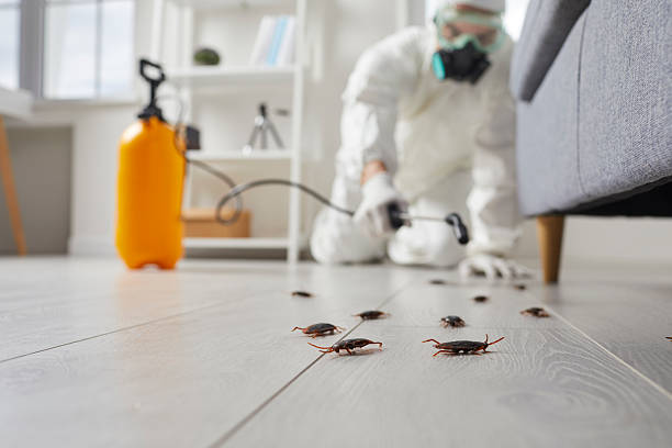 Commercial Kitchen Cockroach Control in Columbus